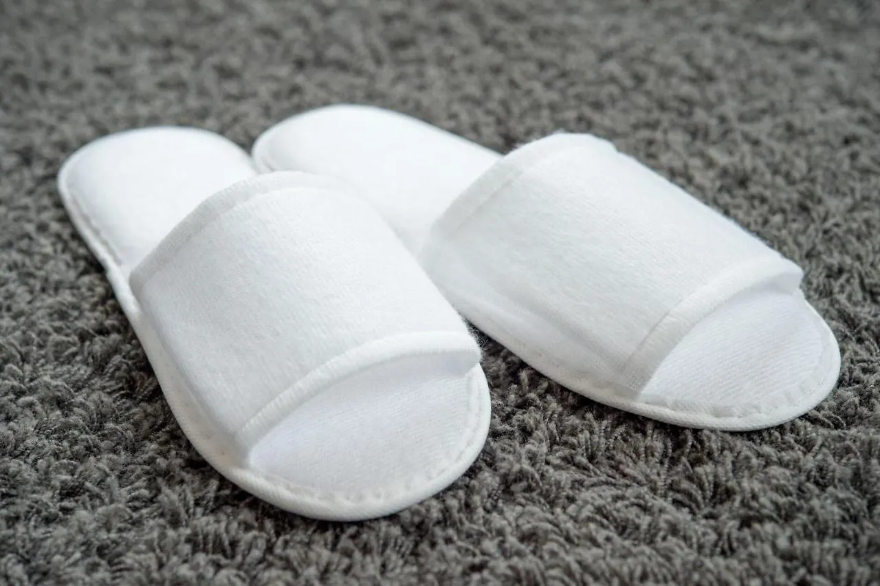 东京滨松町芬迪别墅酒店 東京都 3*,